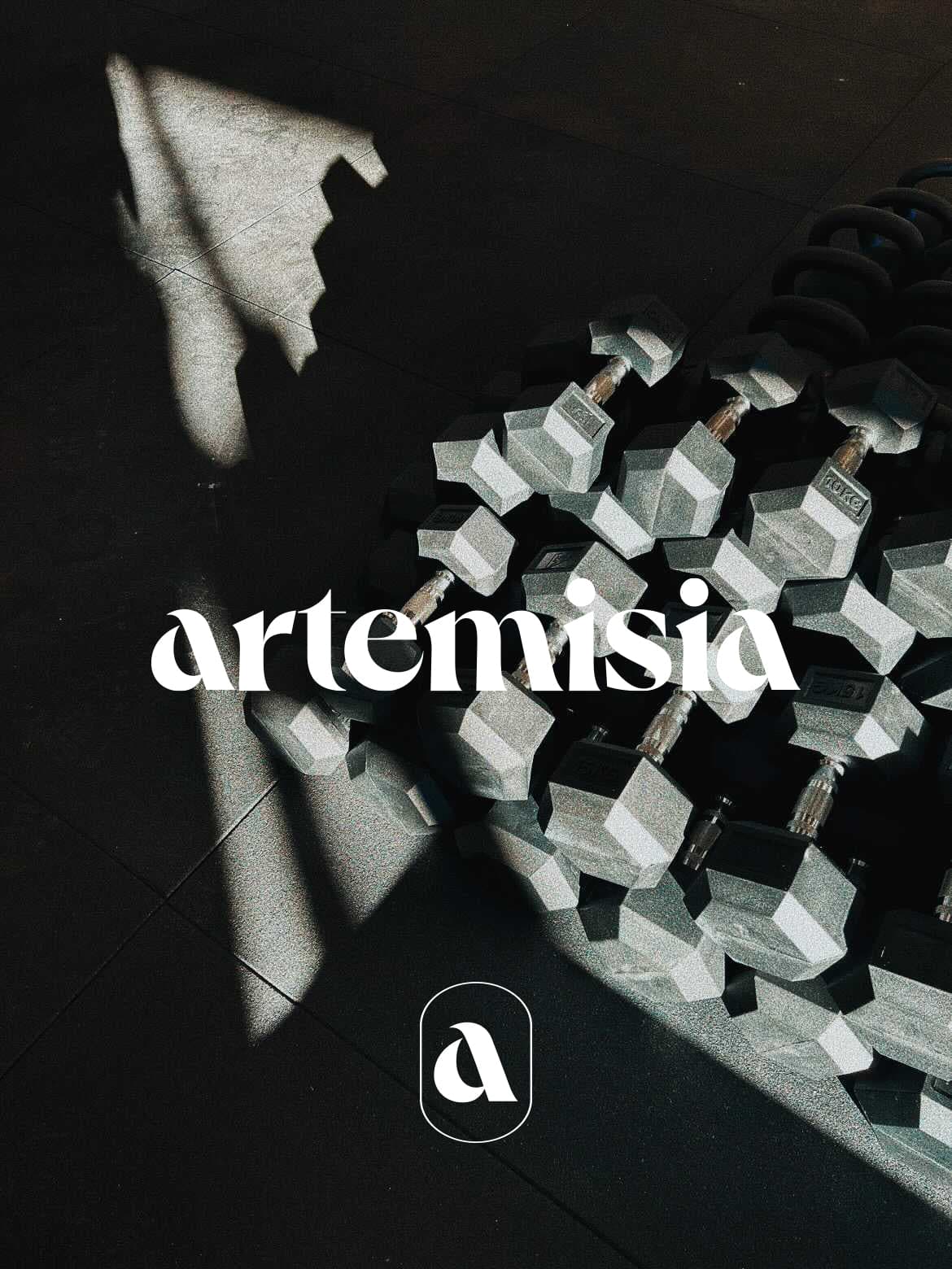CrossFit Artemisia — Malemort